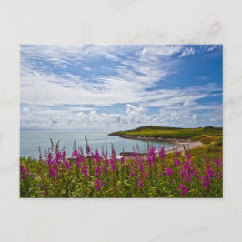 North Wales Kusten Vykort