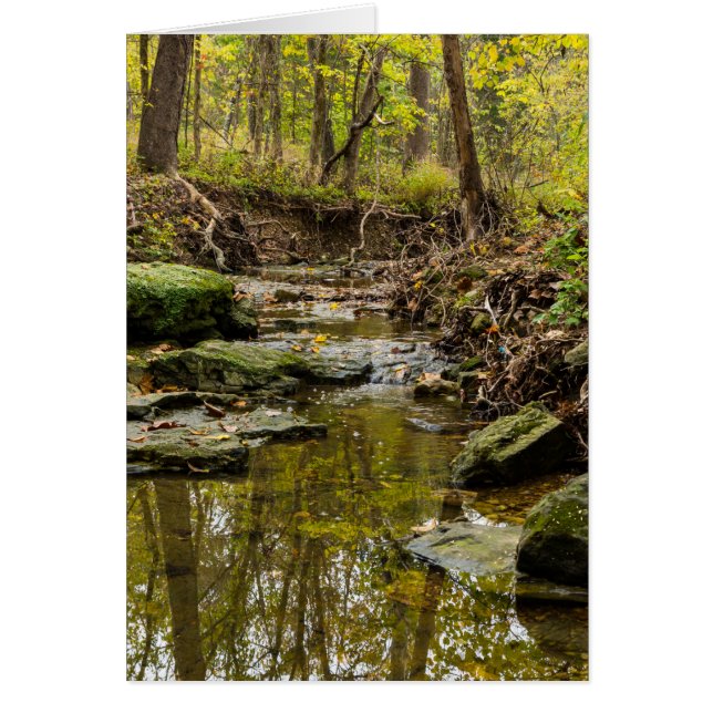 North Wears Bäck OBS Kort (Framsidan)