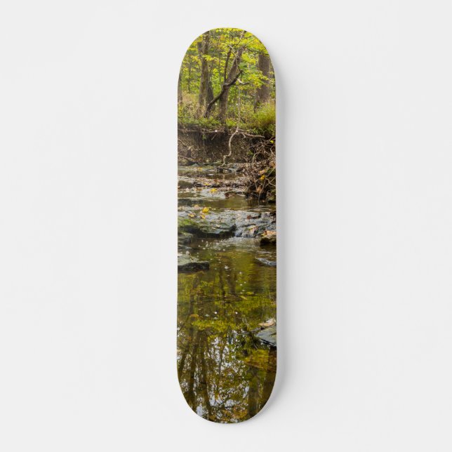 North Wears Bäck Skateboard Bräda 21,5 Cm (Framsida)