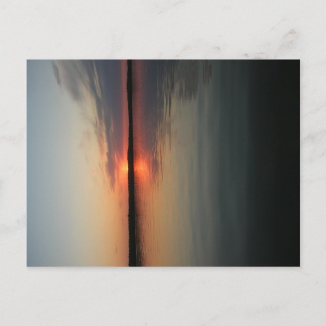 Northern Beauty Vykort (Framsida)