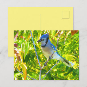 Northern Blue Jay i Träd Nature Anpassningsbar Vykort