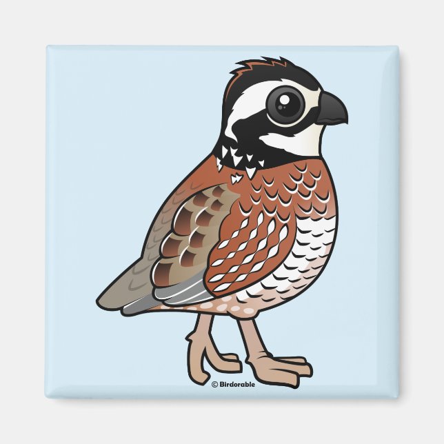 Northern Bobwhite Magnet (Framsidan)