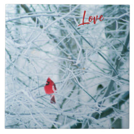 Northern Cardinal on Snowy Branches Kakelplatta