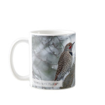 Northern Flicker Isaiah 1:18 KJV