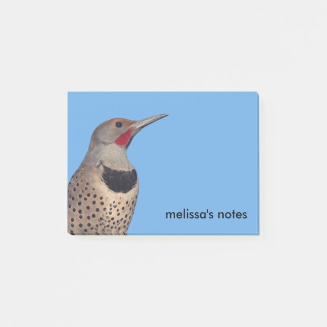 Northern Flicker Woodpecker i Sol Post-it Block (Framsida)