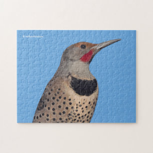 Northern Flicker Woodpecker i Sol Pussel