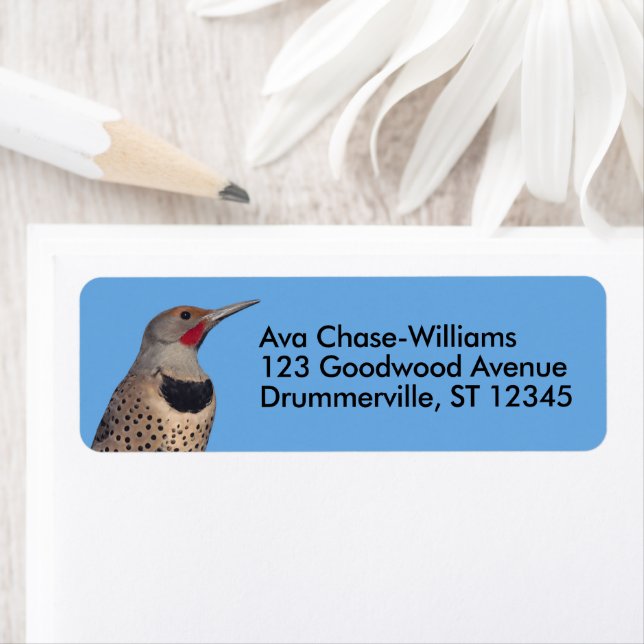 Northern Flicker Woodpecker i Sol Returadress Etikett (Insitu)