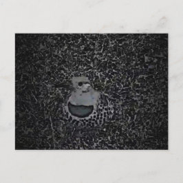 Northern Flicker Woodpecker v1 - Yard Critters Vykort