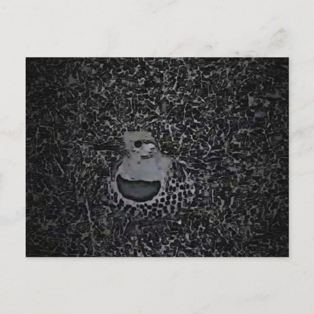 Northern Flicker Woodpecker v1 - Yard Critters Vykort (Framsida)