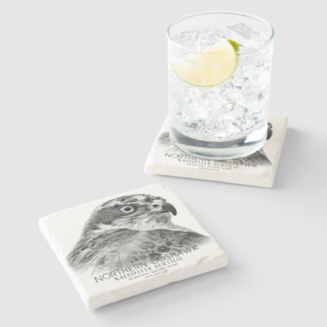 Northern Goshawk Stenunderlägg (Sidan)