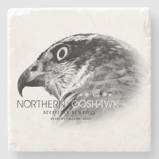 Northern Goshawk Stenunderlägg (Framsidan)