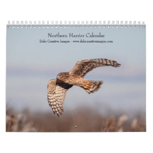 Northern Harrier 2026 Kalender