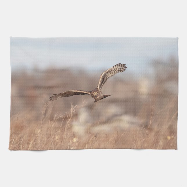 Northern Harrier Kökshandduk (Horisontell)