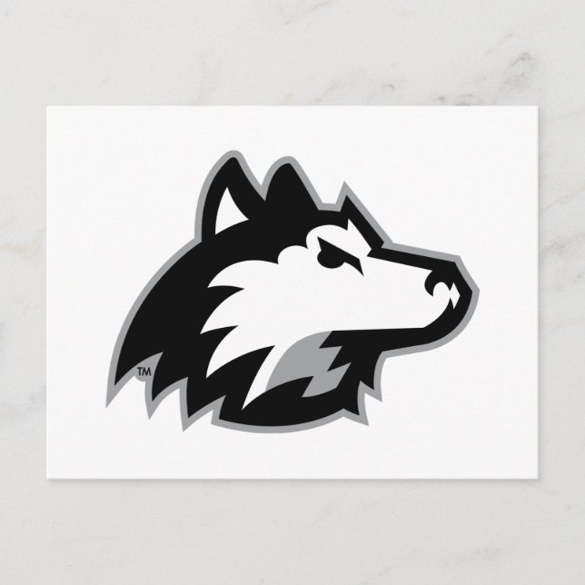 Northern Illinois Huskies Vykort (Framsida)