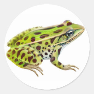 Northern Leopard Frog Sticker Runt Klistermärke