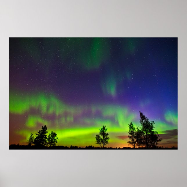 Northern Lights | Manitoba Canada Poster (Framsidan)