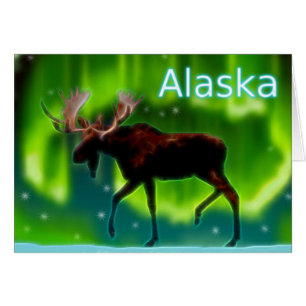 Northern Ljus Moose Hälsningskort