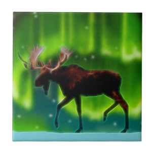 Northern Ljus Moose Kakelplatta