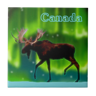 Northern Ljus Moose Kakelplatta