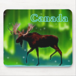 Northern Ljus Moose Musmatta