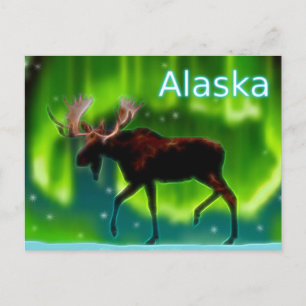Northern Ljus Moose Vykort