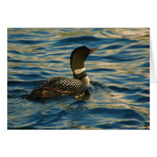 Northern Loon OBS Kort