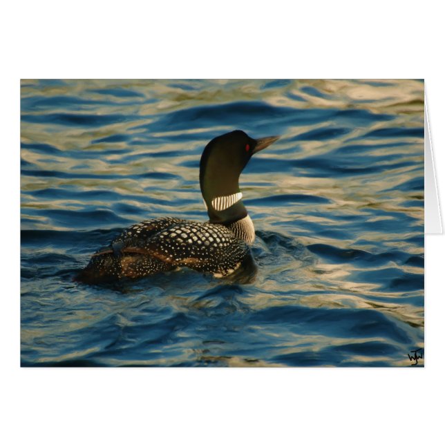 Northern Loon OBS Kort (Framsidan Horizontal)