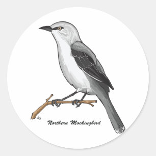 NORTHERN MOCKINGBIRD RUNT KLISTERMÄRKE