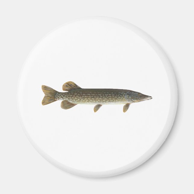 Northern Pike Magnet (Framsidan)