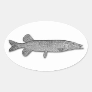 Northern Pike Ovalt Klistermärke