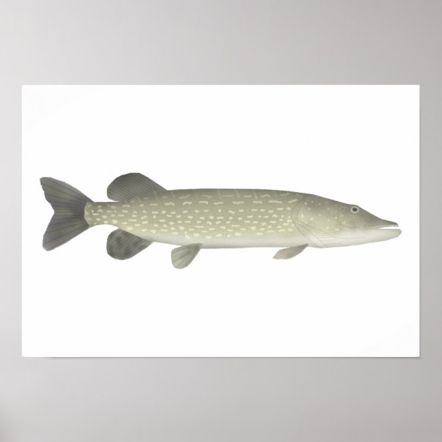Northern Pike Poster (Framsidan)