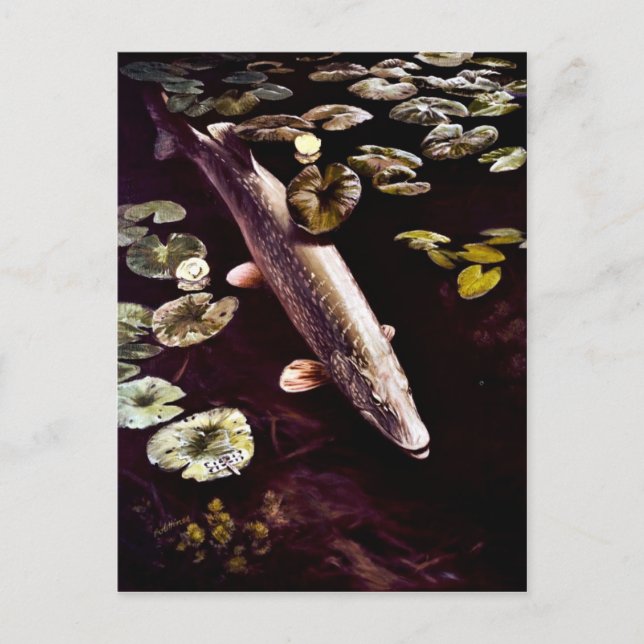 Northern Pike Vykort (Framsida)