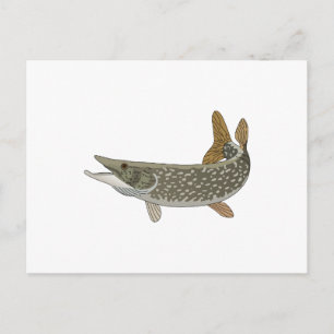 NORTHERN PIKE VYKORT