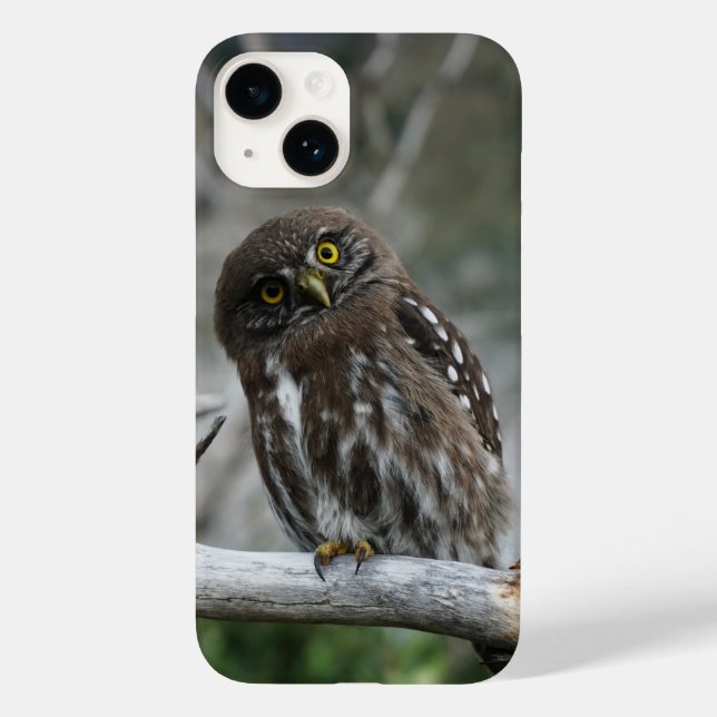 Northern Pygmy Owl iPhone 14-fodral (Baksida)