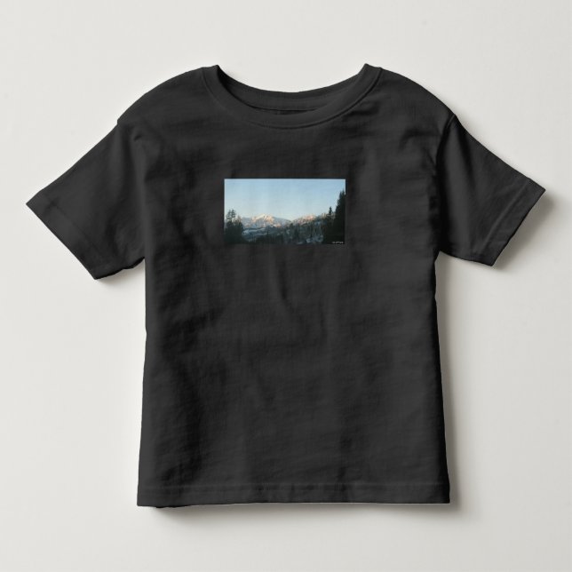 Northern Rocky Mountain Forest  T Shirt (Framsida)