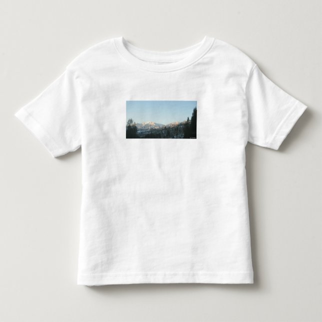 Northern Rocky Mountain Forest T Shirt (Framsida)