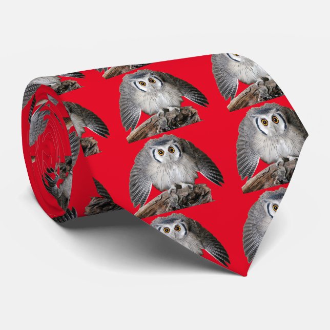 Northern White-faced Owl Slips (Rullad)