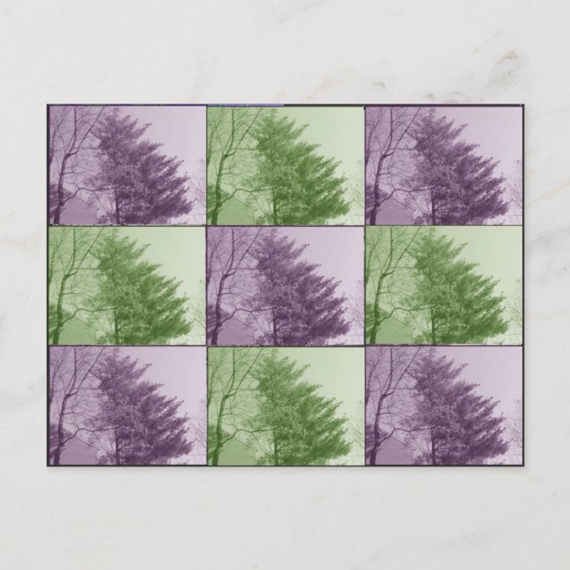 Northgate nio vykort (Framsida)