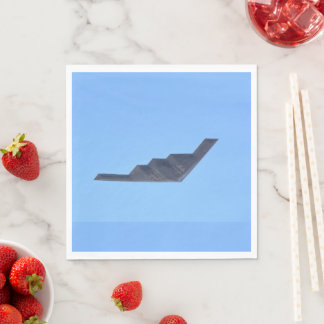 Northrop Grumman B-2 Spirit Pappersservett