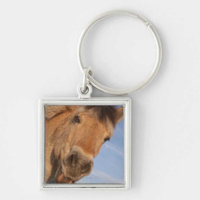 Northumberland England 2 Fyrkantig Silverfärgad Nyckelring (Framsidan)