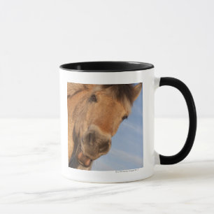 Northumberland England 2 Mugg