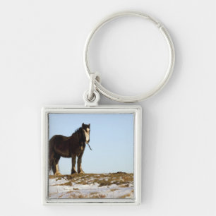 Northumberland England Fyrkantig Silverfärgad Nyckelring