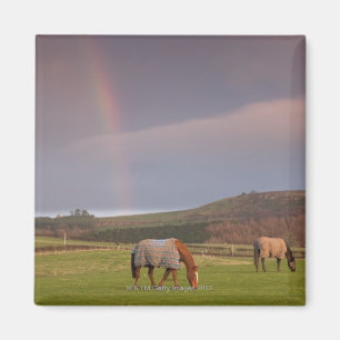 Northumberland England Magnet