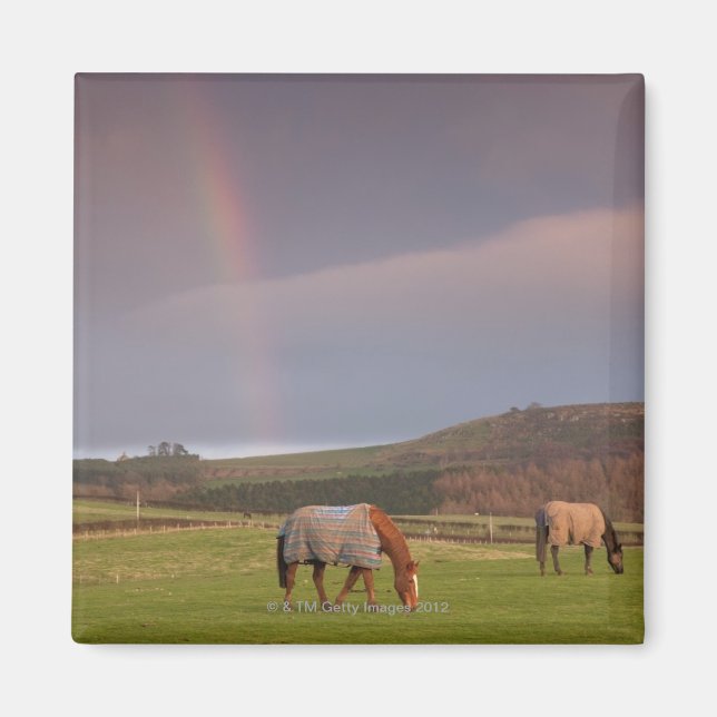 Northumberland, England Magnet (Framsidan)