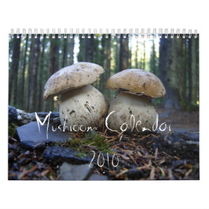 Northwest champinjonkalender 2010 kalender