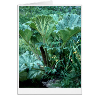 Northwest Island Garden Hälsningskort