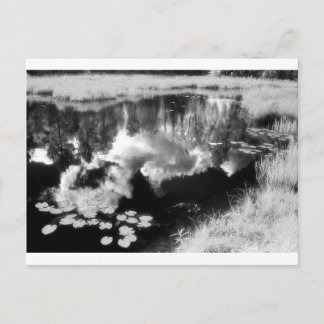 Northwood Sjö med vackert reflekterat liggande Vykort