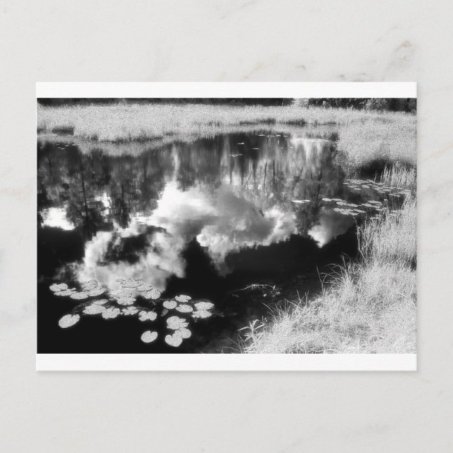 Northwood Sjö med vackert reflekterat liggande Vykort (Framsida)