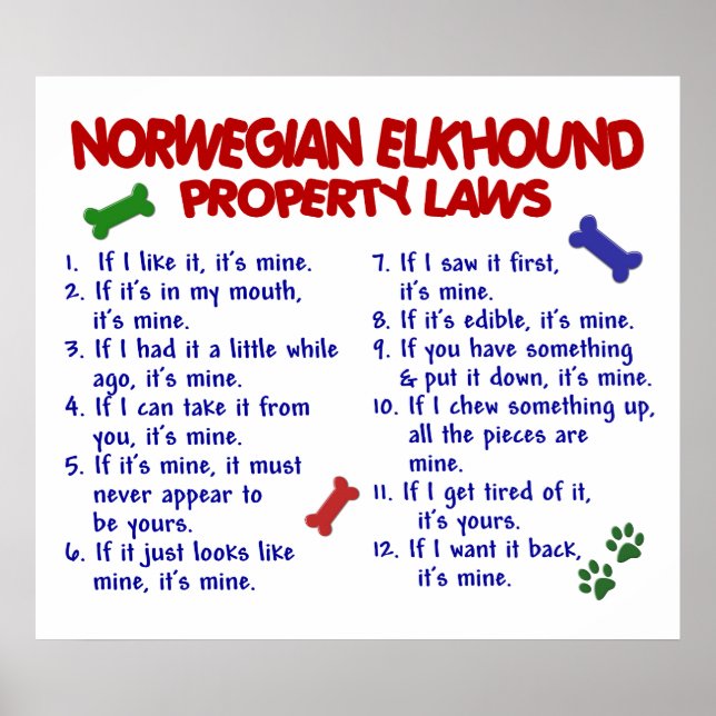 NORWEGIAN ELKHOUND PL2 POSTER (Framsidan)