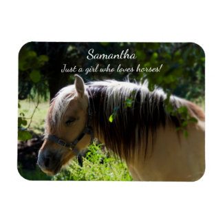 Norwegian Fjord Horse Magnet